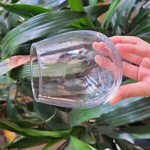 Set of 2 Round Wine Glasses No Stem
